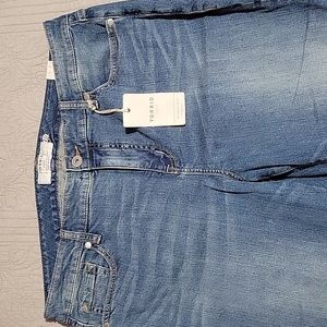 Torrid Jeans